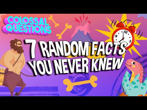 7 Facts You THOUGHT You Knew | COLOSSAL QUESTIONS