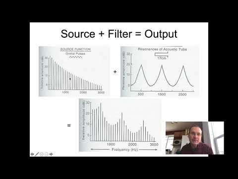 Ling 341 - Intro Phonetics - Source Filter Theory