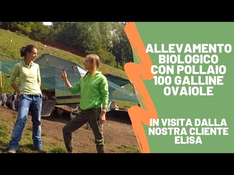 , title : 'Allevamento biologico con Pollaio 100 Galline Ovaiole Il Verde Mondo feat Elisa'