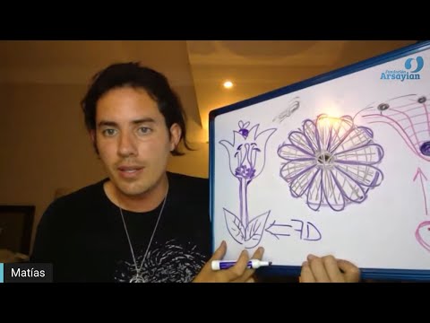 Day 217 7th DIMENSION - Matias De Stefano - English Edit