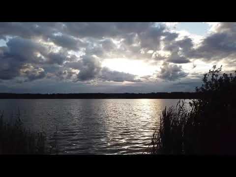 30 июля 2020 г.