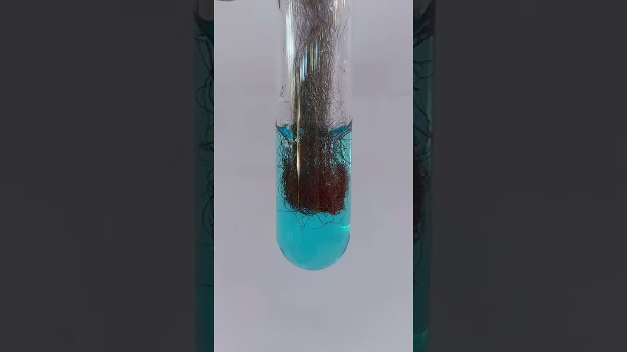[WOW] redox reaction between Iron and copper ions #shorts