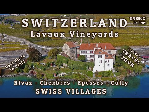 Relax Music Travel : Lavaux Vineyards, Switzerland Riviera, Swiss lake, Autumn Beautiful Footage