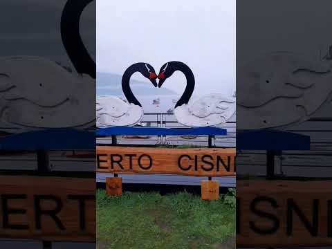 En puerto cisnes patagonia chilena #soydecarahue #patagoniachilena #carreteraaustral #aysén