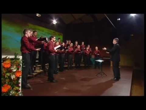 PAZ Vinko Vodopivec - Njest svjat (Stevan Stojanović Mokranjac)