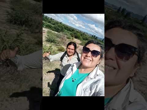 Ruta 40: El Valle de la Historia. De Alpasinche a Andolucas (San Blas de los Sauces) 🇦🇷✨