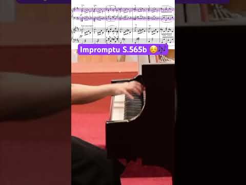 Liszt Day 34 [Have You Heard Liszt’s Impromptu S.565b?] #lisztpiano #dailypiano