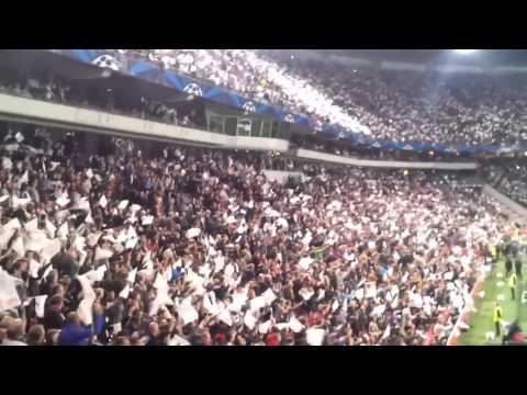 Ajax tifo & sfeer compilatie