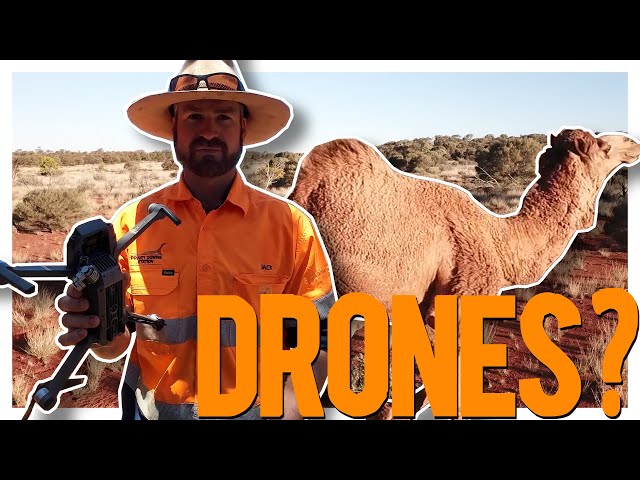 Judge.me YouTube video placeholder