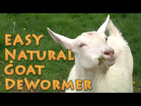 , title : 'At Home Natural Goat DeWormer Goat Basics 101'