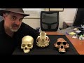 Comparative Anatomy: Dental Arcade