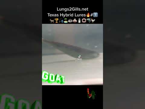 Best lures for targeting flounder !!! Or fluke! L2G -Tx Hybrid Swimming Shad. Lungs2gills.net