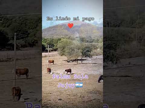 #PalmaSolaJujuy🇦🇷 El pago de muchos! Valle al Este de Jujuy #Argentina #folclore #tradición