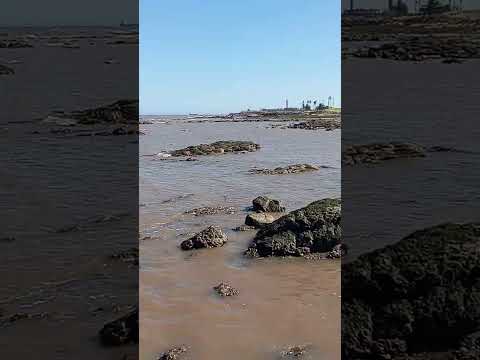 Muelle de Punta Carretas Uruguay