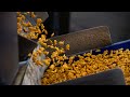 This Denver, PA factory makes 55 million pounds Goldfish crackers a year