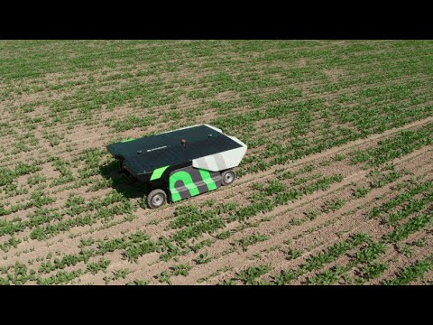 Ecorobotix AVO Video 2126