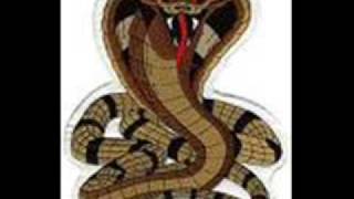 la casa del serpente .IVANO FOSSATI