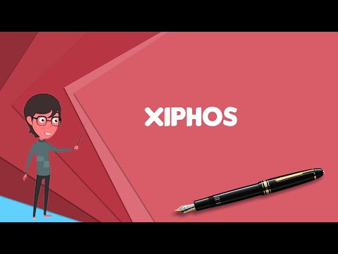 What is Xiphos? Explain Xiphos, Define Xiphos, Meaning of Xiphos