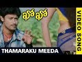 Kho Kho Video Songs Thamaraku Meeda Video Song Rajesh Amrutha