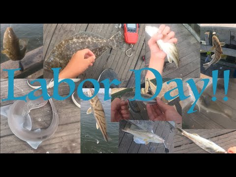 NON-STOP Captree ACTION! BIG KINGFISH, FLUKE, DOGFISH, SEA ROBIN, SEA BASS & PUFFERFISH!