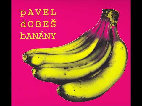 Pavel Dobeš - Haló, pane Taxi (2006)