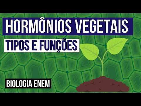 HORMÔNIOS VEGETAIS: tipos e funções | Biologia para o Enem | Cláudia de Souza Aguiar