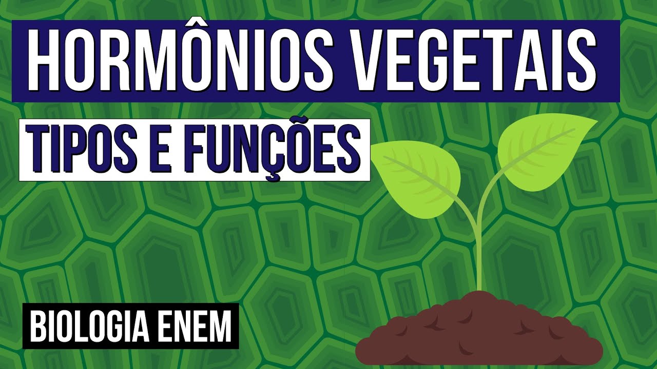 HORMÔNIOS VEGETAIS: tipos e funções | Biologia para o Enem | Cláudia de Souza Aguiar