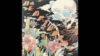 The Shins - Painting a Hole