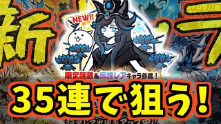 【にゃんこ大戦争】超極ネコ祭に新キャラ来たから狙ってみた【プレイ動画】