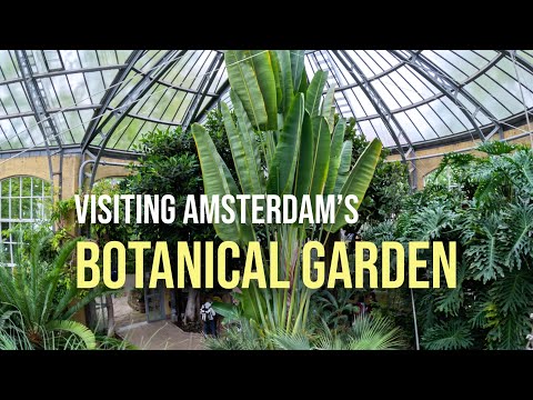Amsterdam Botanical Garden | Travel Tips | Amsterdam Bike Ride | Walking tour in nature | GoPro13