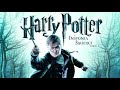 UNINVITED GUESTS Harry Potter And The Deathly Hallows Part 1 PL 4K 1