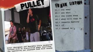 Pulley - Insects Destroy  (Beyond Warped Live Music Series)