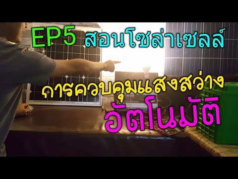 ความอ่อนแอของความแน่น เมล็ดทานตะวันและความแข็งแรงในผู้ชาย