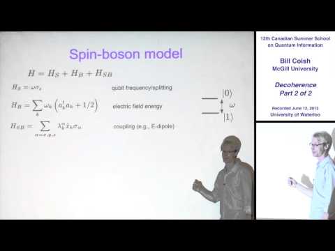 Bill Coish - Decoherence (Part 2) - CSSQI 2012