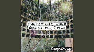 Comfortably Numb Orchestral Track (Cover)