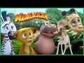 Madagascar Perseguidos Por Um Cupcake Gigante Desenhos Animados Em Português