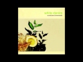 White Denim - Distant Relative Salute
