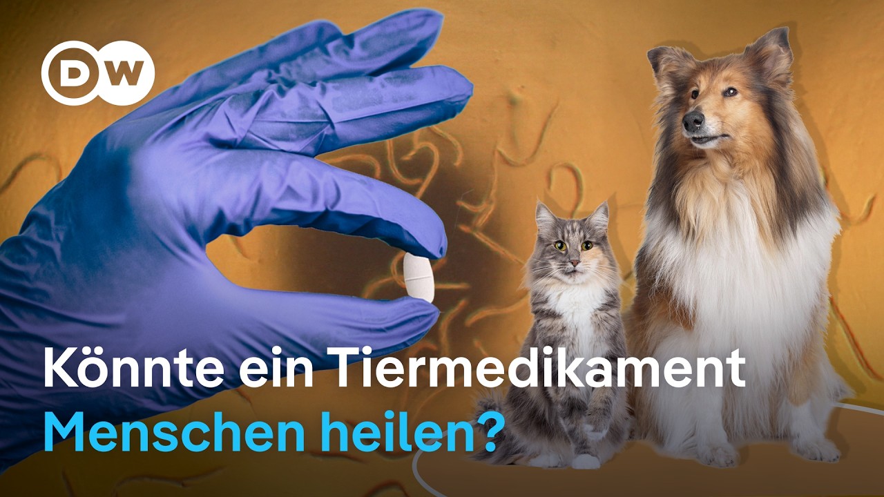 Ein Haustier-Medikament soll Millionen Menschen helfen
