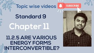 NCERT Science class 9 chapter 11 11.2.5 VARIOUS ENERGY FORMS INTERCONVERTIBLE