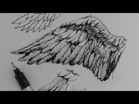 Pen Ink Drawing Tutorials | How to draw wings