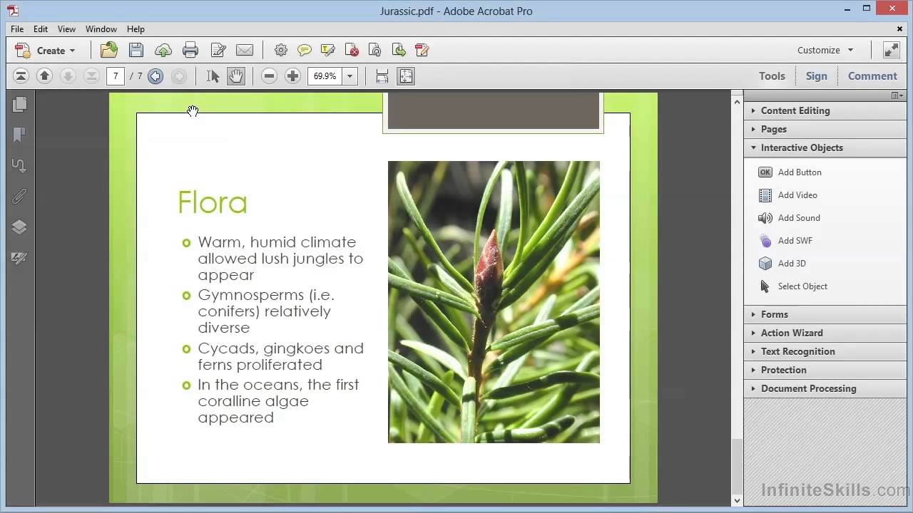 Adobe Acrobat XI Tutorial | Adding Buttons To PDFs
