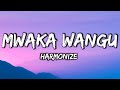 Harmonize Mwaka Wangu Lyrics