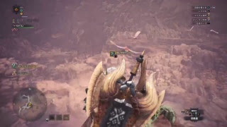 【MHW】AKIさんのサボテン探し！