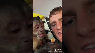 CUTE MONKEY 😍