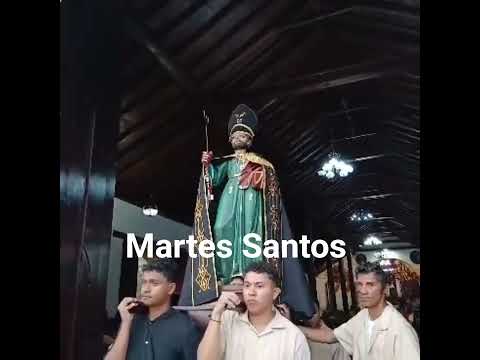 Diría Granada  procesion  de san pedro  martes Santos  2026
