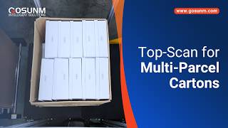 Static Top Scan DWS for Multi Parcel Cartons - Gosunm Intelligent