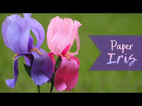 How To Make A Crepe Paper Iris!