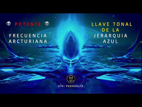 Vivi Pedraglio and Vivi Pedraglio's Team