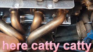 mini 1.6 catalytic converter & oil filter housing gaskets replacement