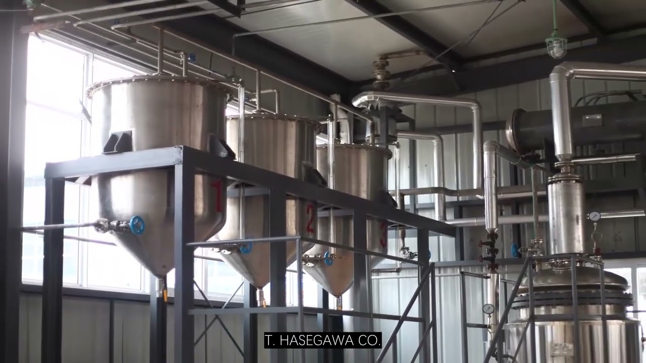 How to Find the Best Eucalyptus Oil Bulk Supplier